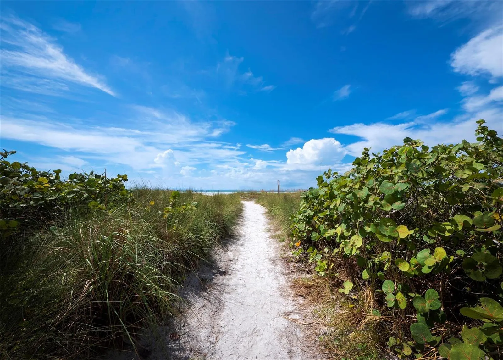 370 GULF OF MEXICO DR #432, #432