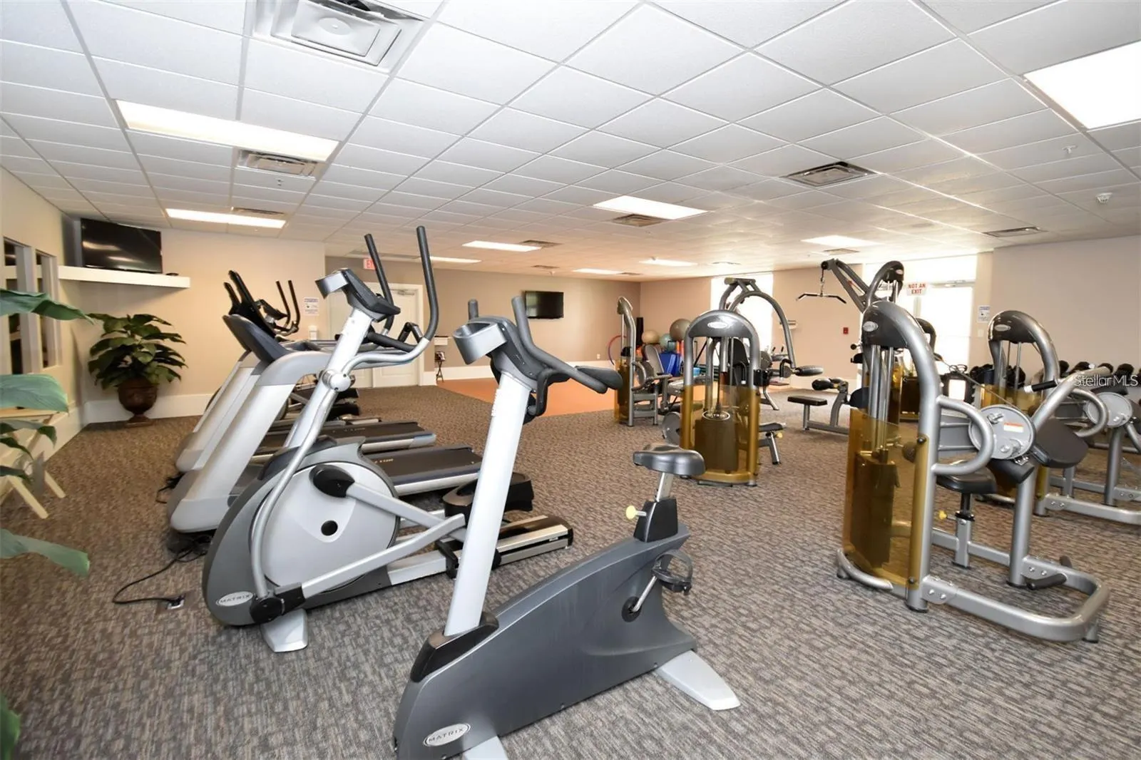 303 3RD AVE W #301, #301