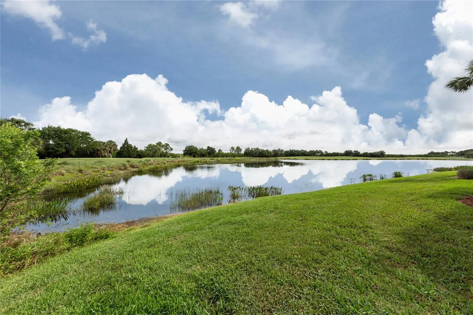 7005 RIVER HAMMOCK DR #301, #301