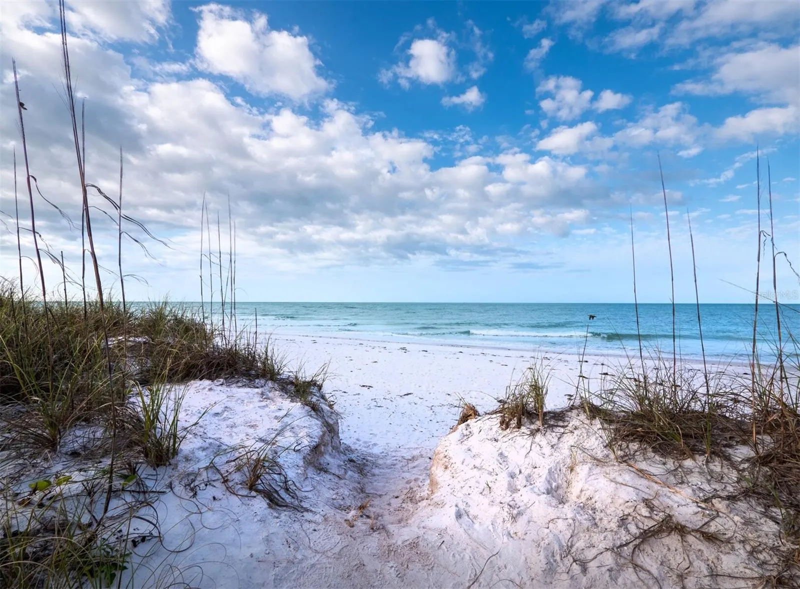 7105 GULF OF MEXICO DR #21, #21