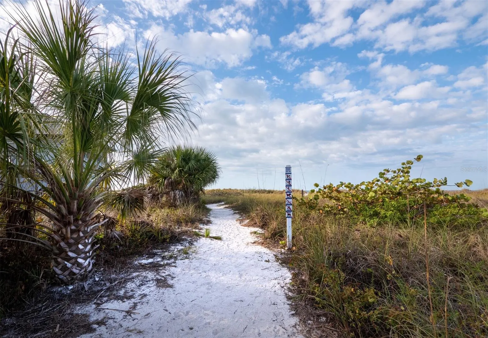 7105 GULF OF MEXICO DR #21, #21