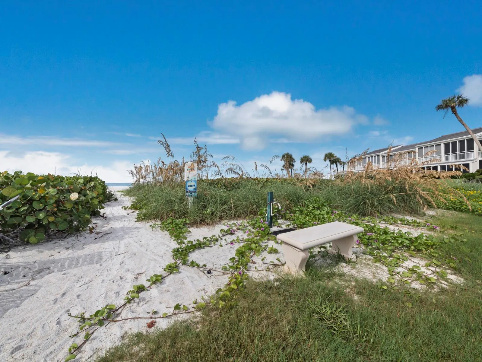7105 GULF OF MEXICO DR #21, #21