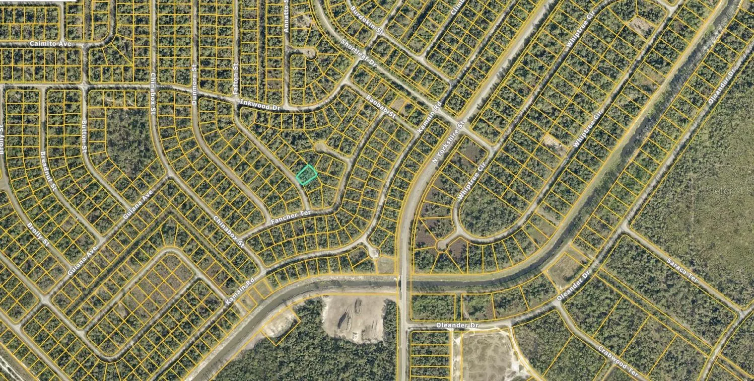 1125230203 FAFTON ST