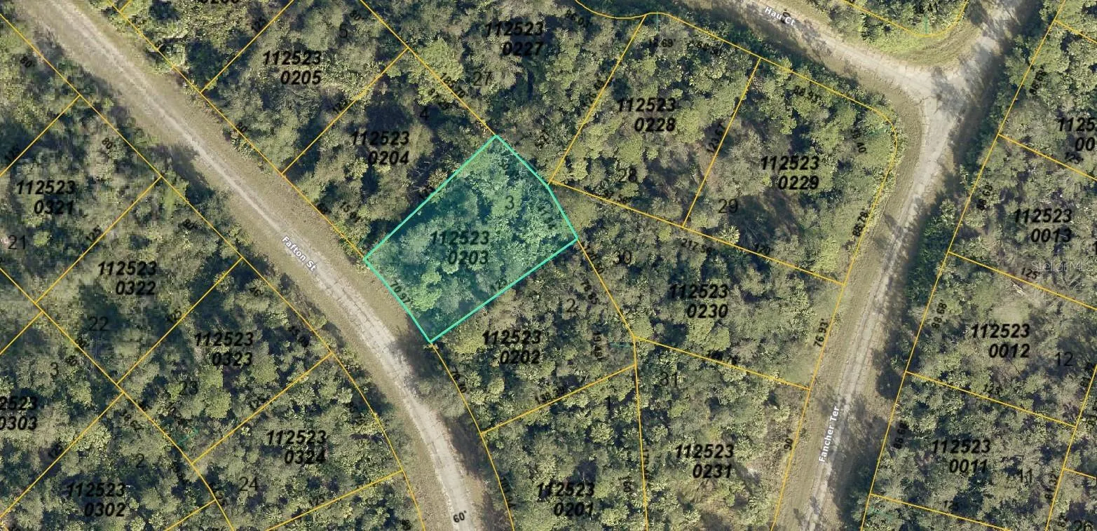 1125230203 FAFTON ST