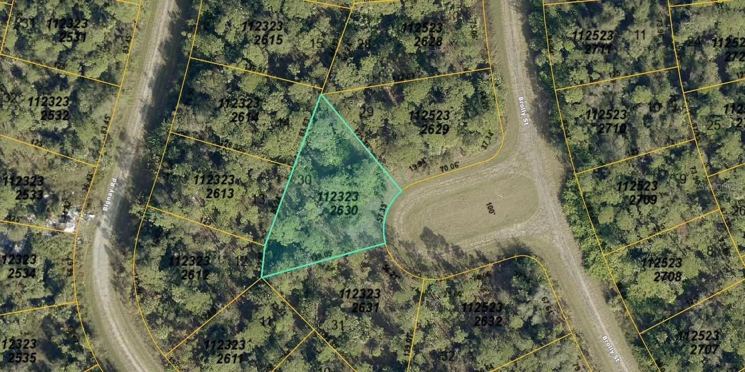 1123232630 BROLLY ST