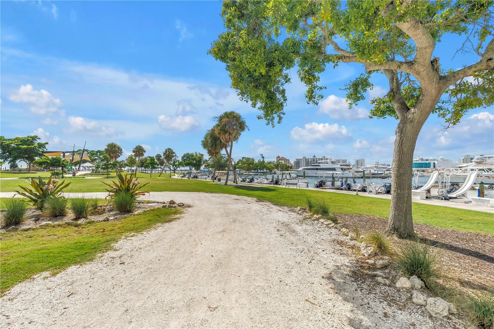 755 S PALM AVE #502, #502