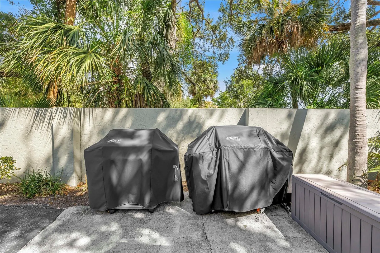 755 S PALM AVE #502, #502