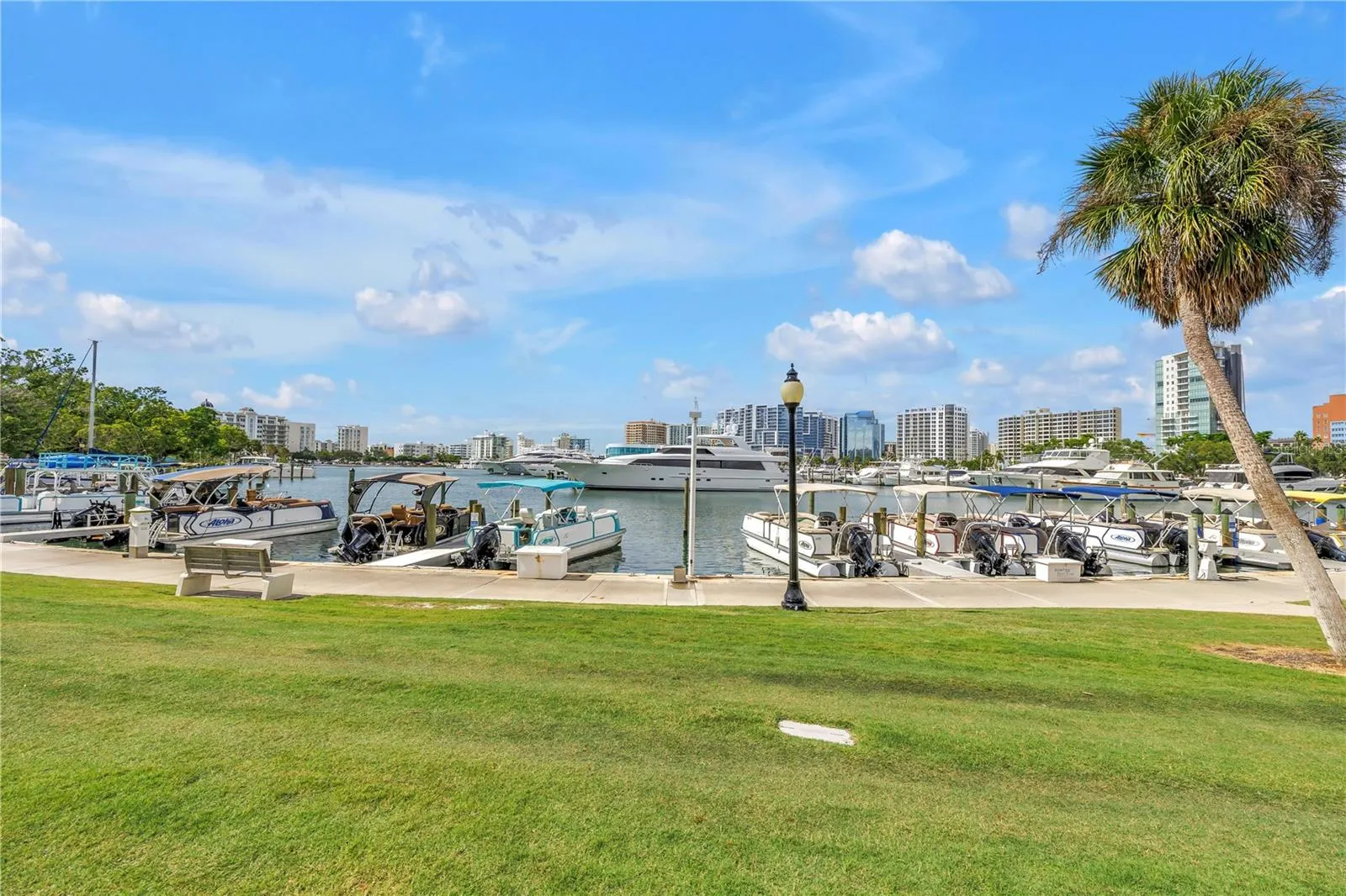 755 S PALM AVE #502, #502