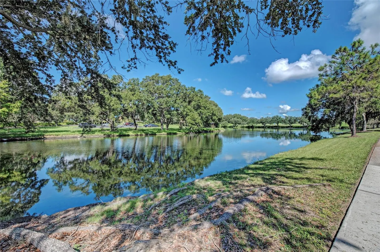 6647 OAKBROOKE CIR
