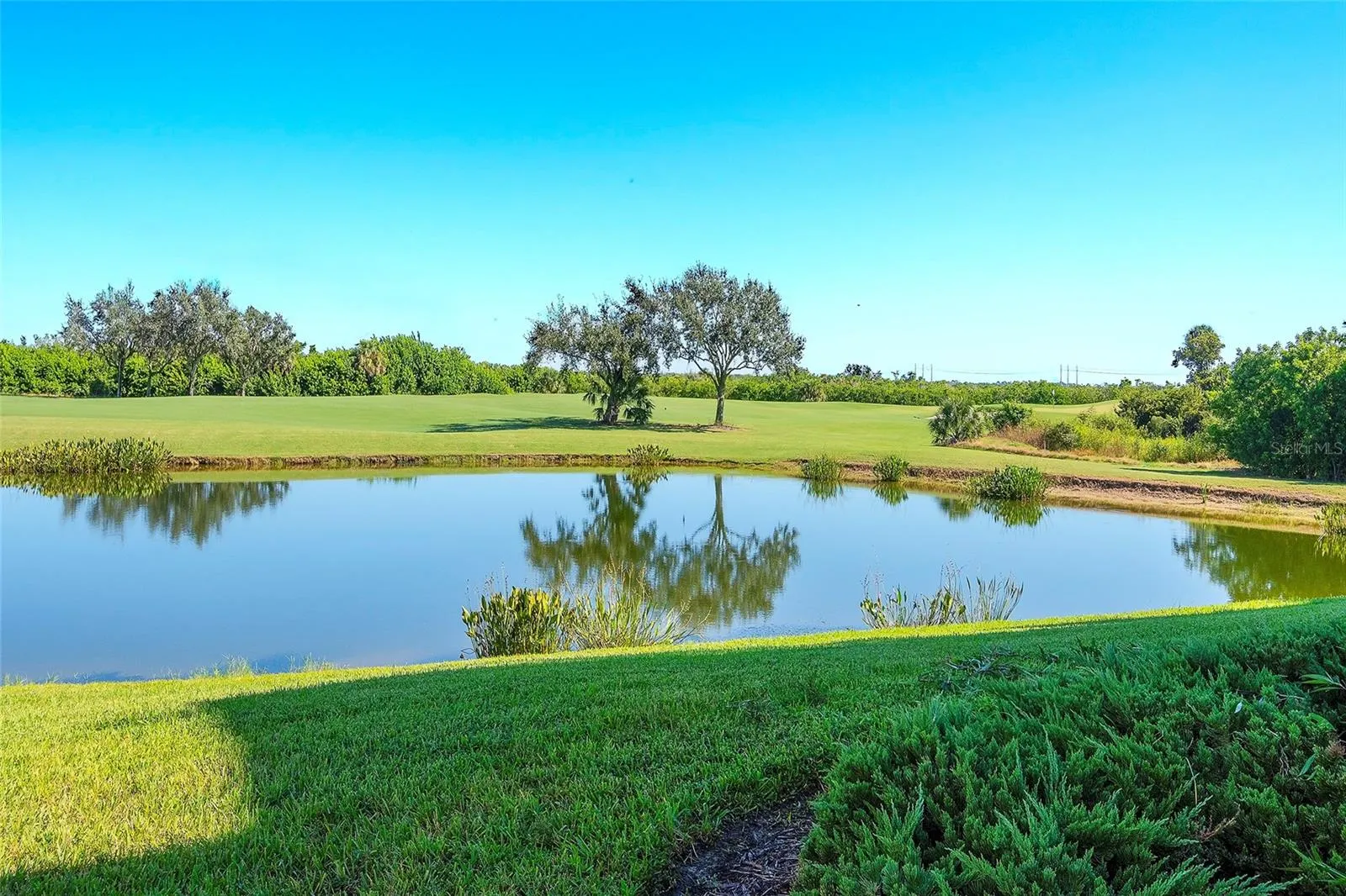 7121 RIVER HAMMOCK DR #303, #303