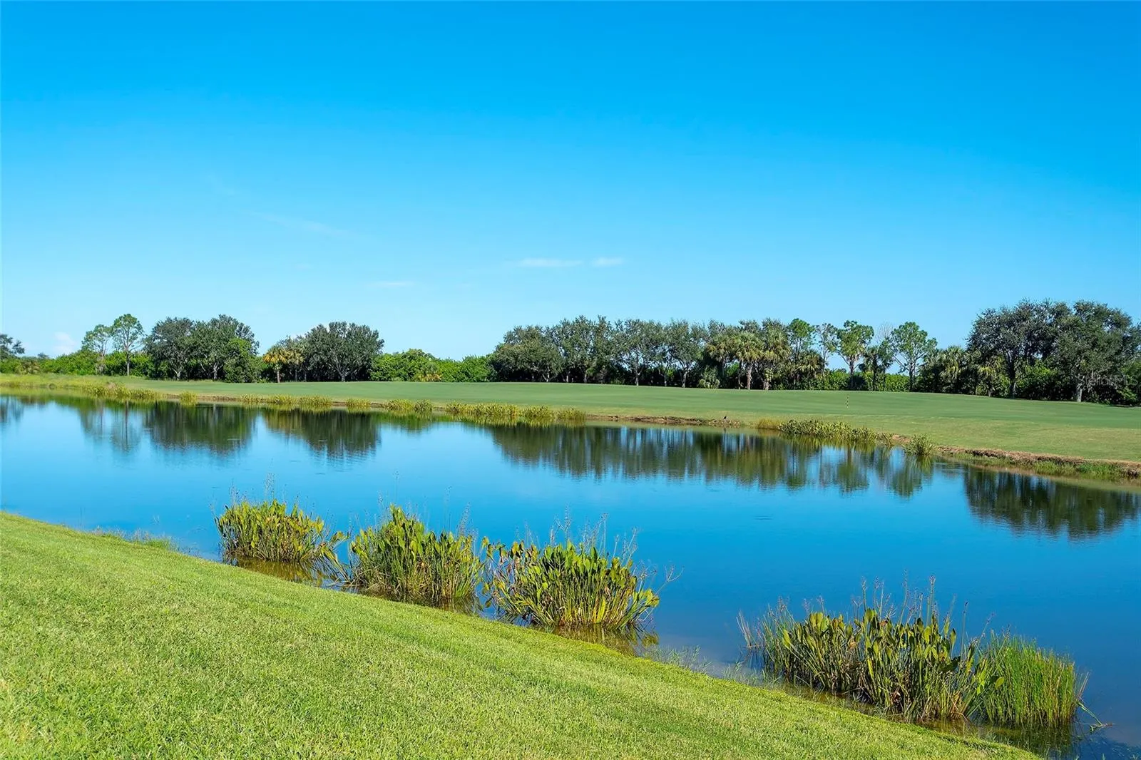 7121 RIVER HAMMOCK DR #303, #303