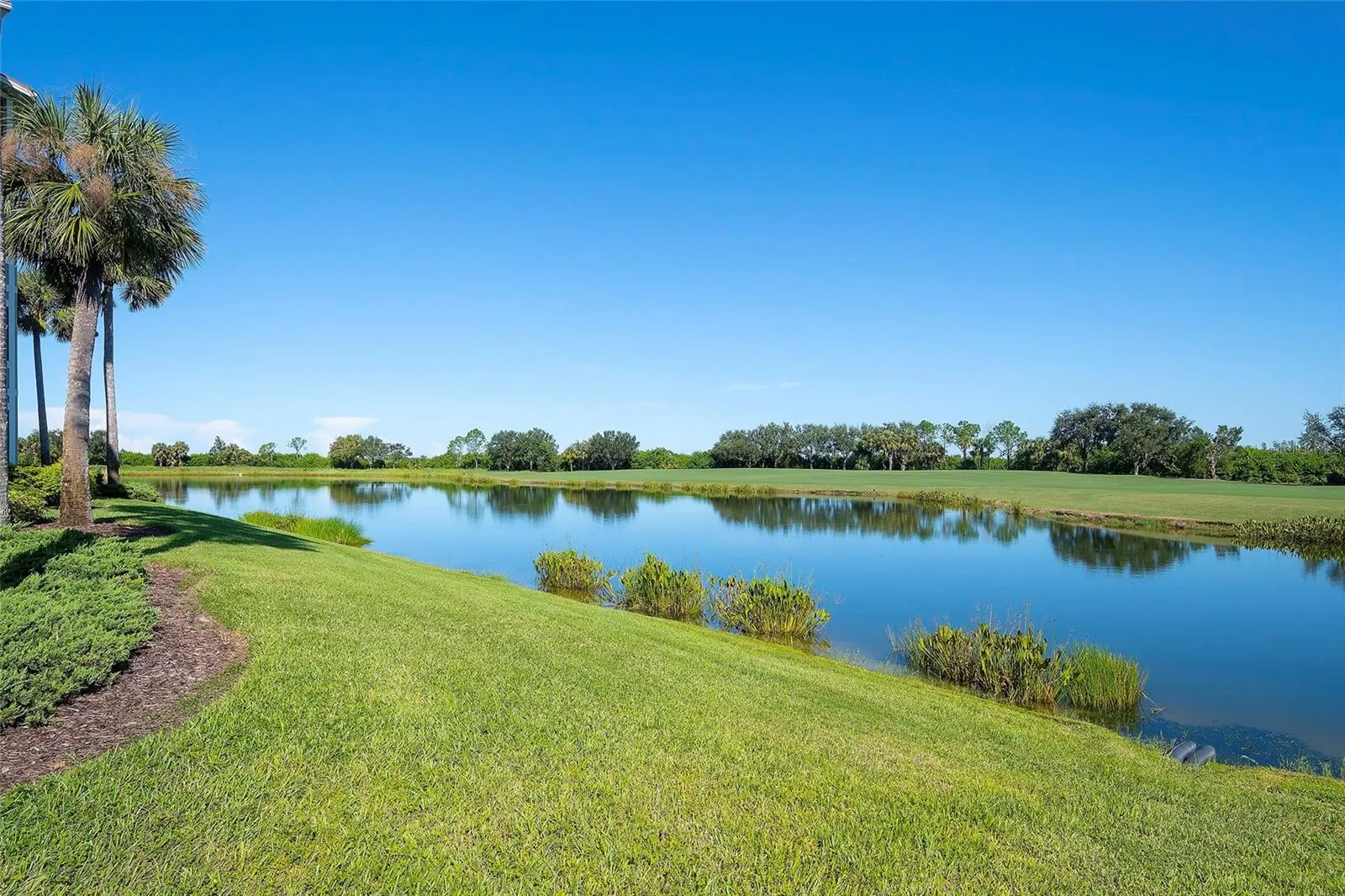 7121 RIVER HAMMOCK DR #303, #303
