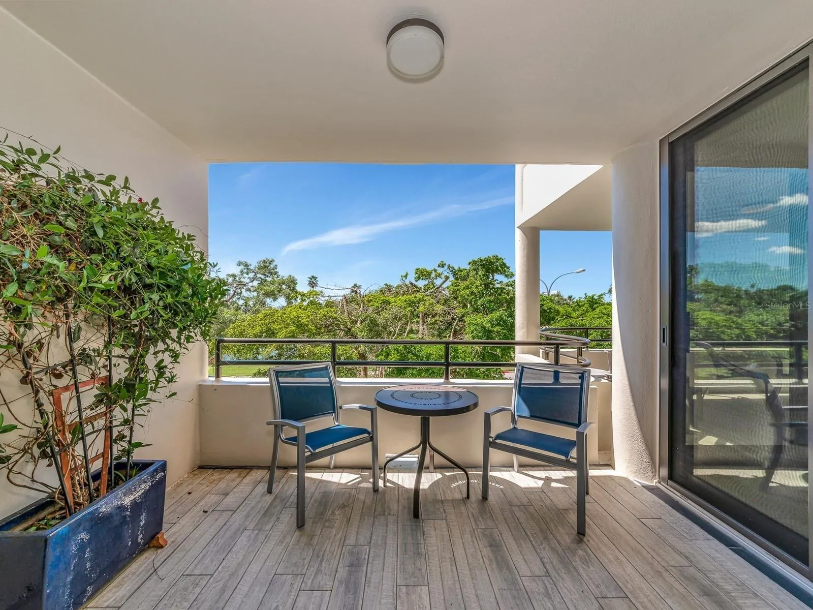 1255 N GULFSTREAM AVE #204, #204