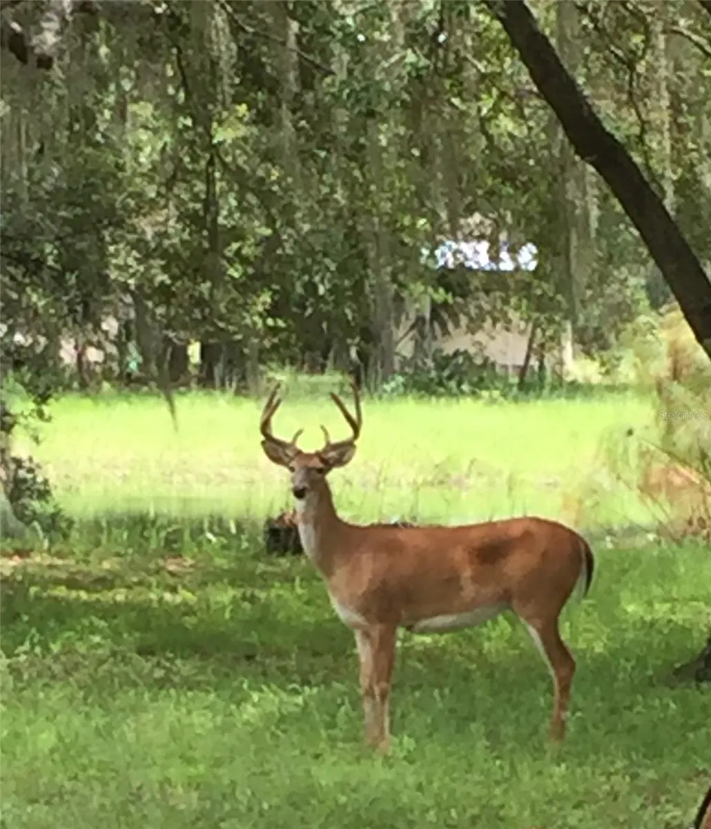 2230 MYAKKA RD