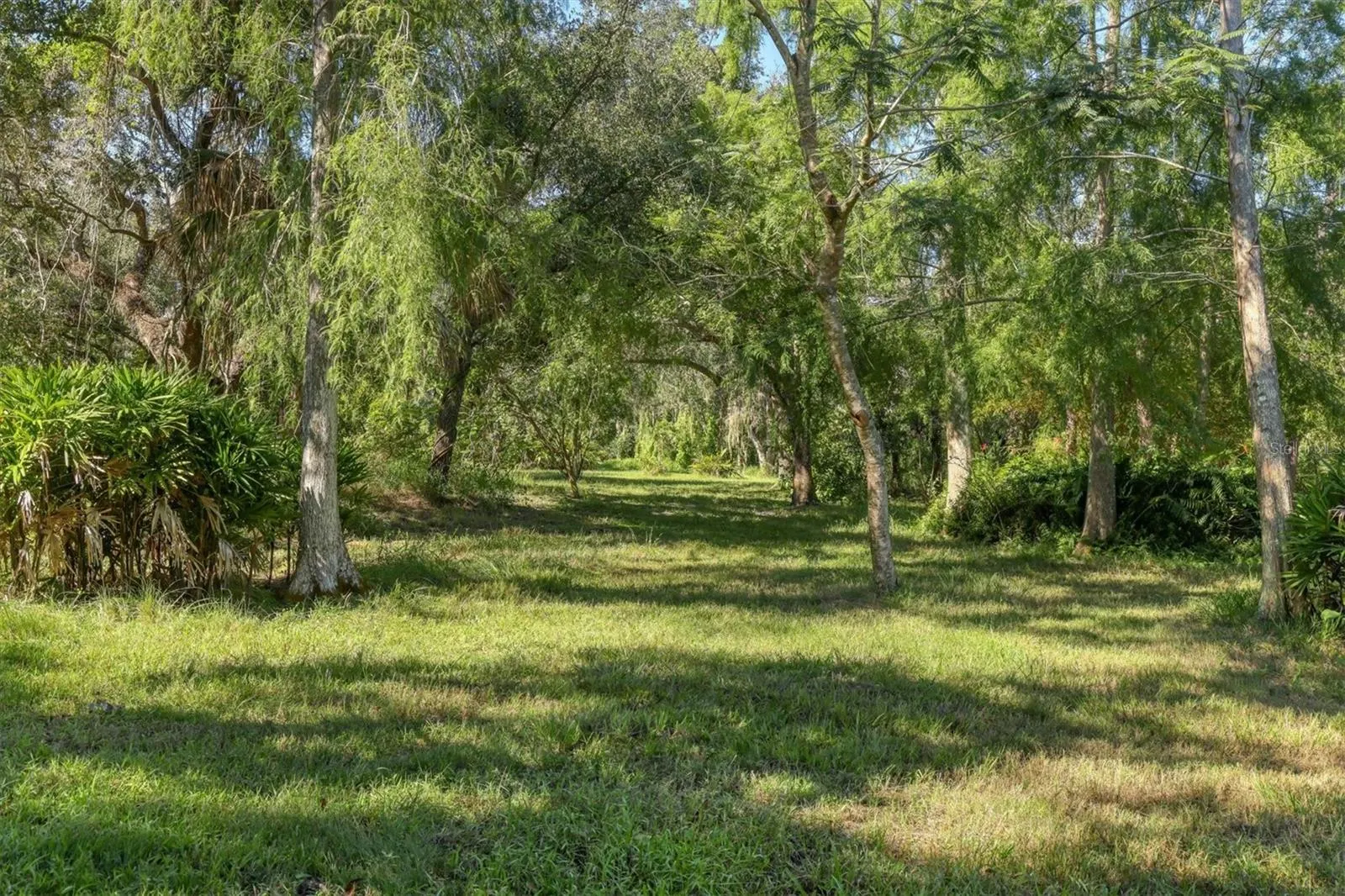 2230 MYAKKA RD