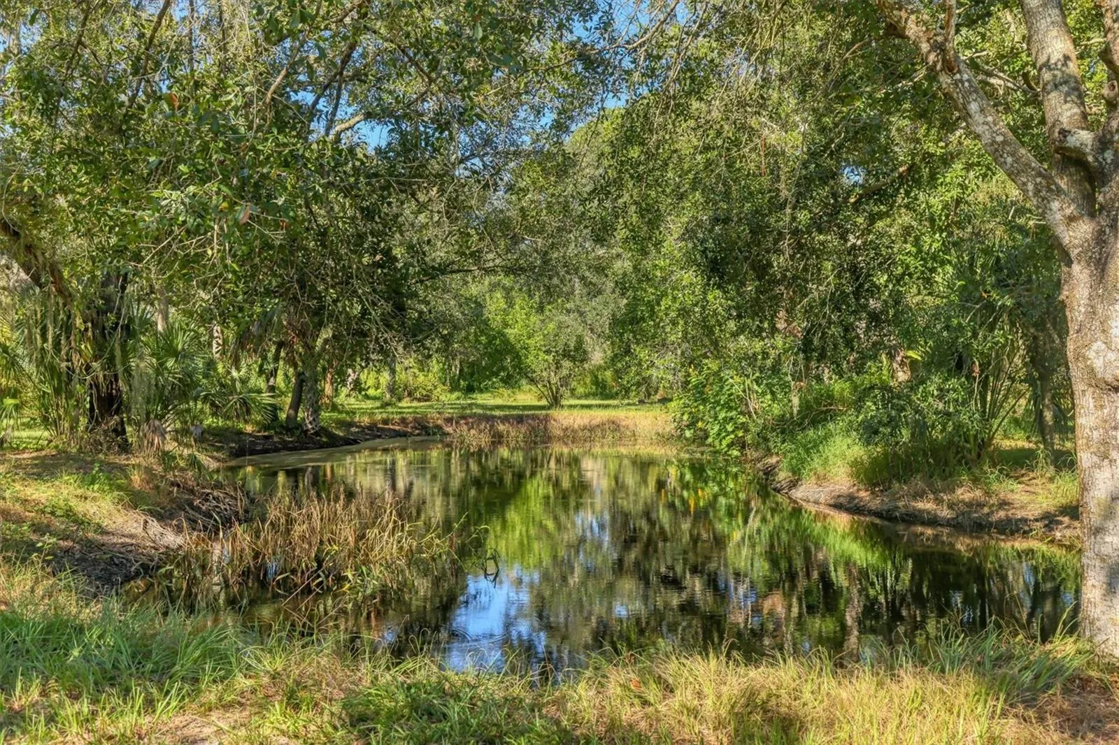 2230 MYAKKA RD
