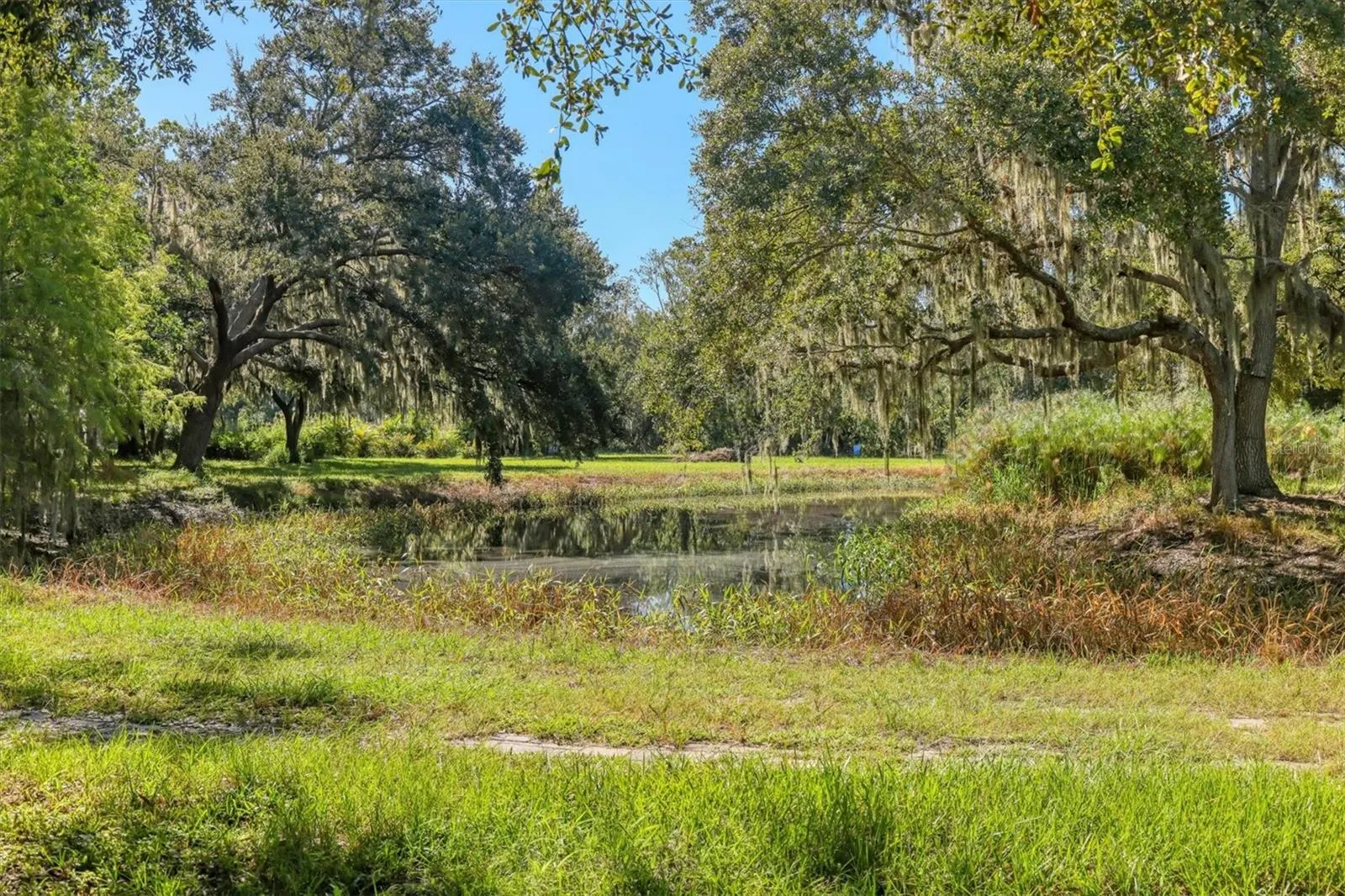 2230 MYAKKA RD