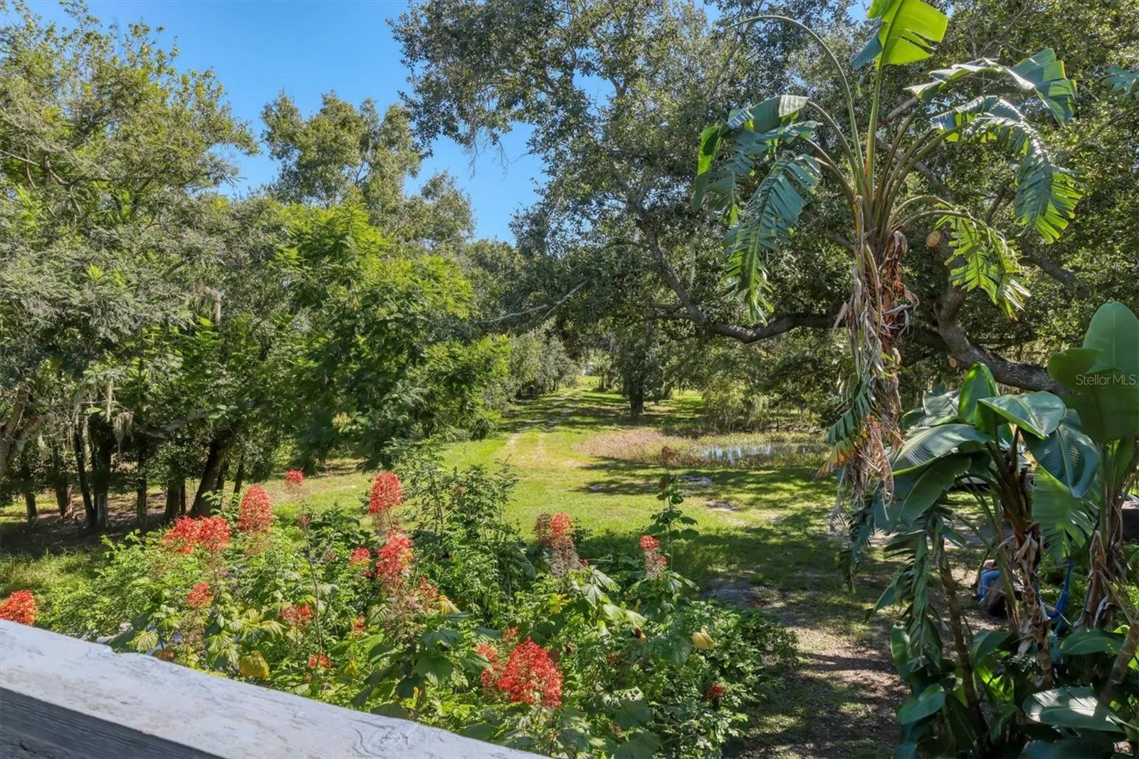 2230 MYAKKA RD