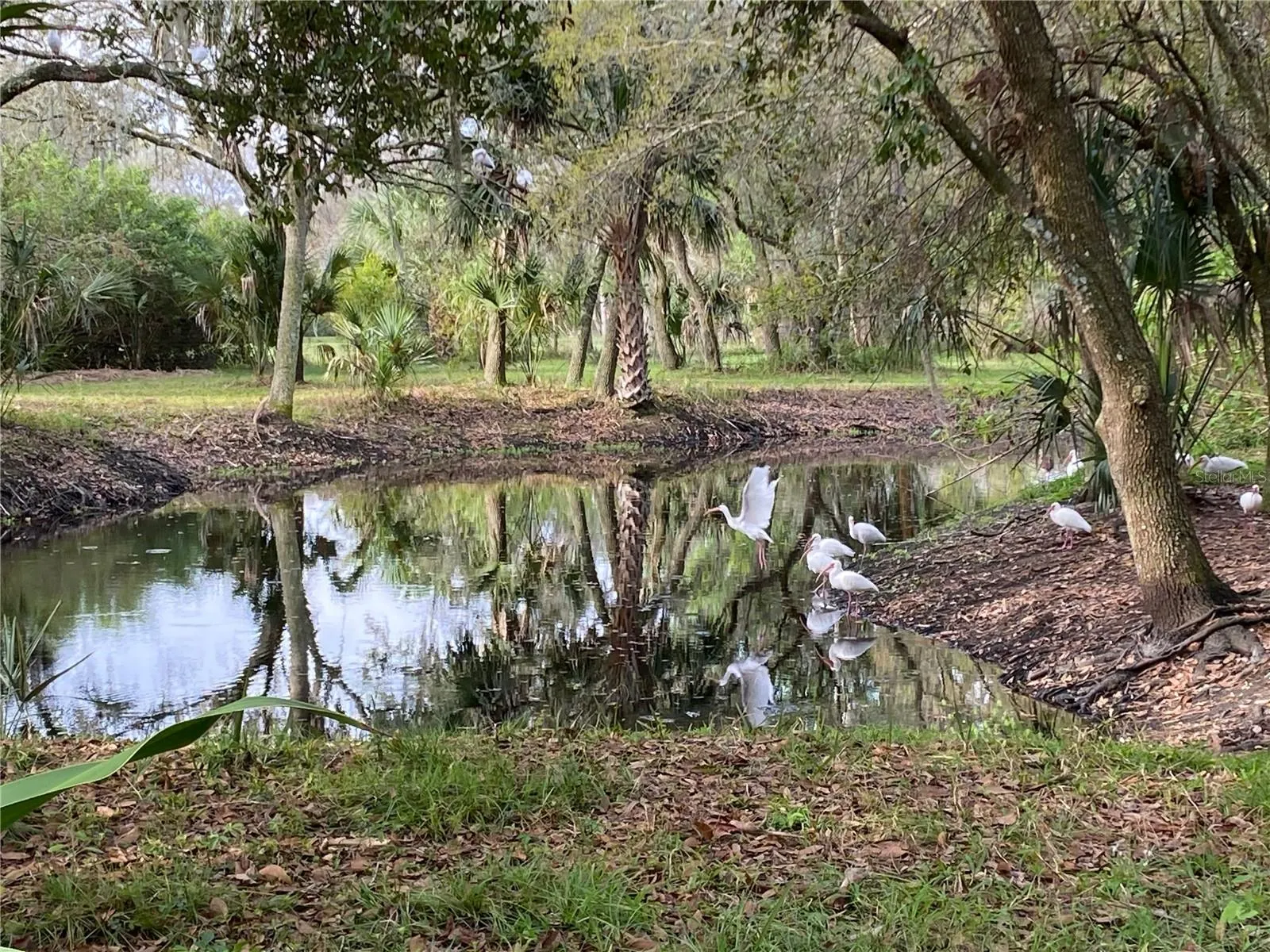 2230 MYAKKA RD