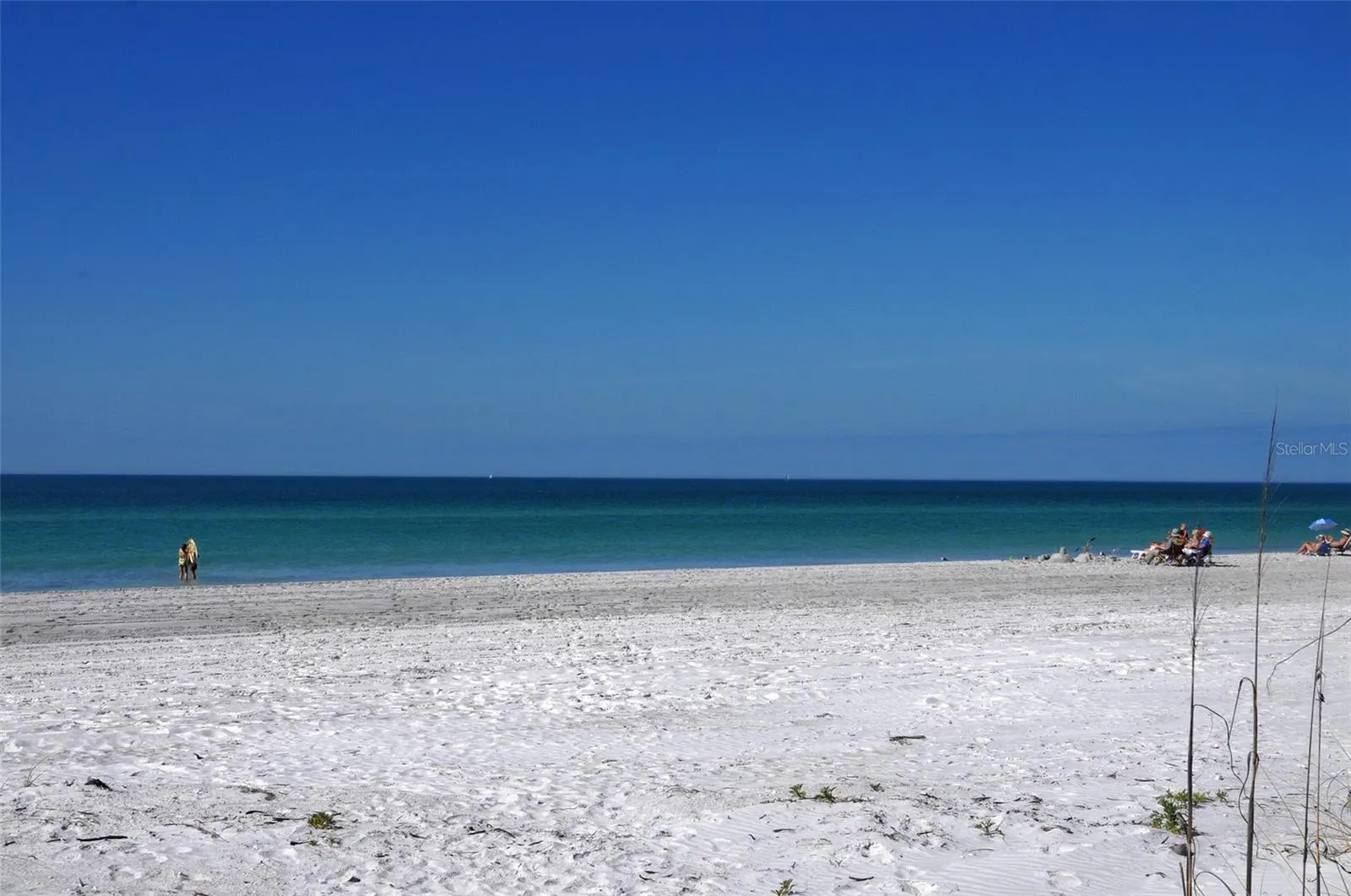 5757 GULF OF MEXICO DR #204, #204