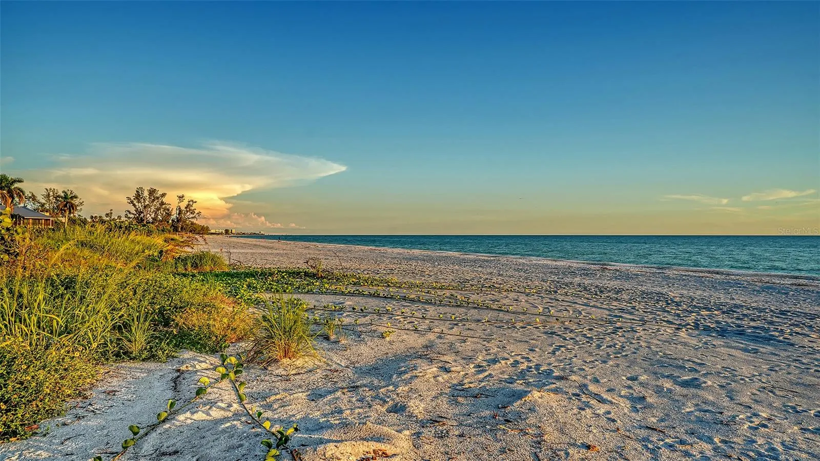 5757 GULF OF MEXICO DR #204, #204
