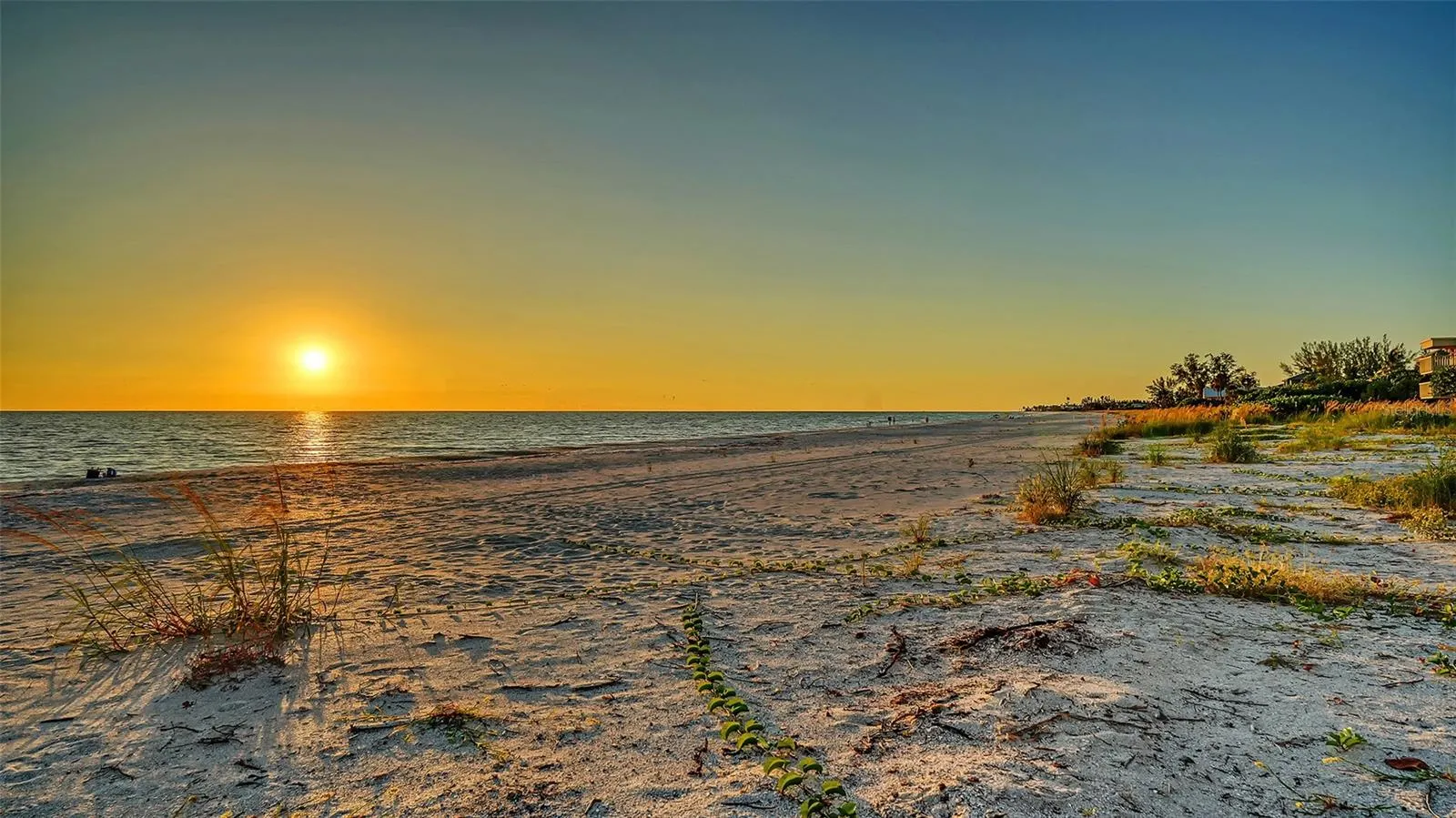 5757 GULF OF MEXICO DR #204, #204