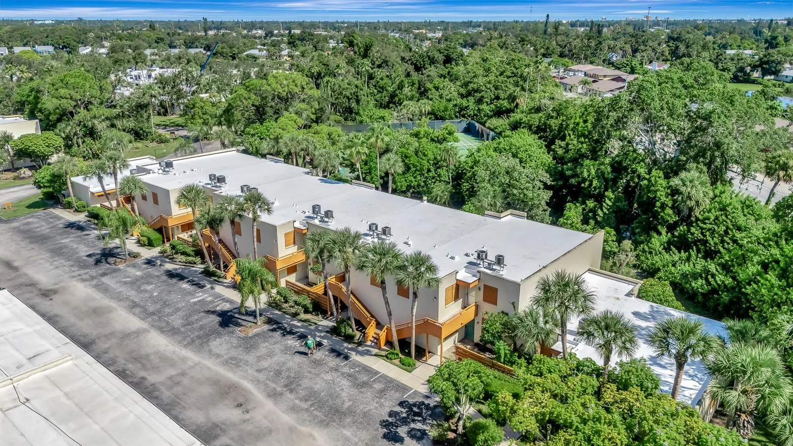 131 WILD PALM DR