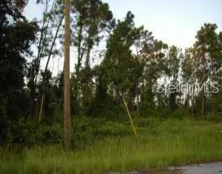 DOUGLAS RD