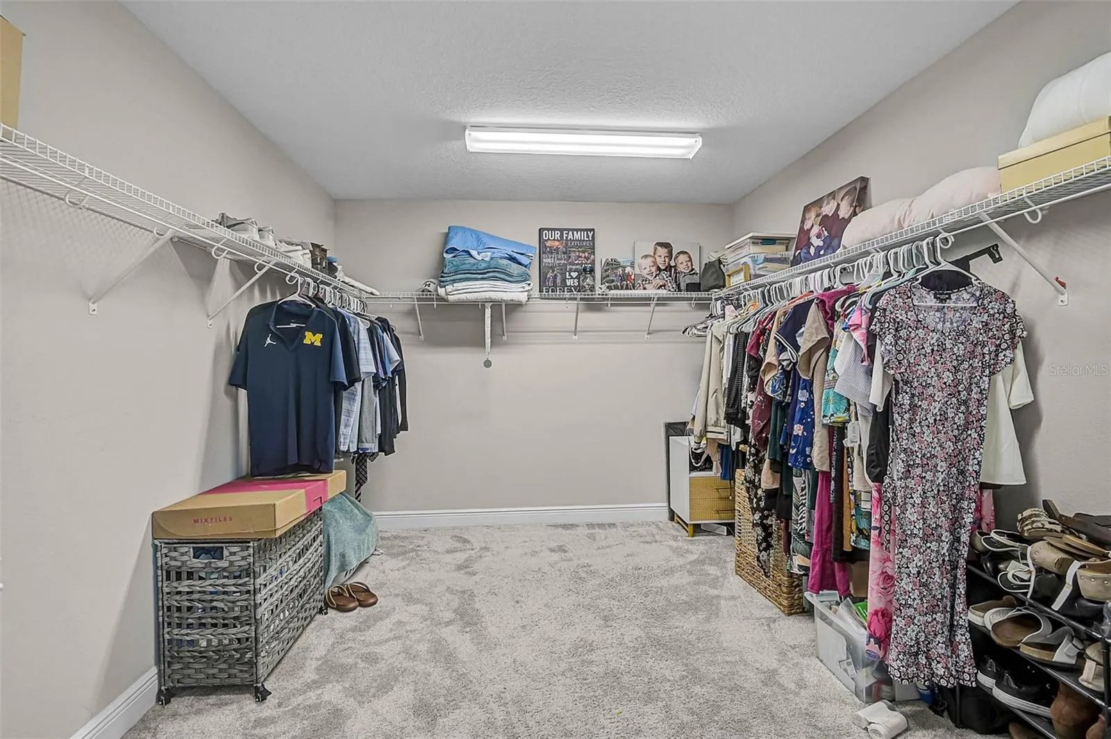 8417 DOVE BOG TER