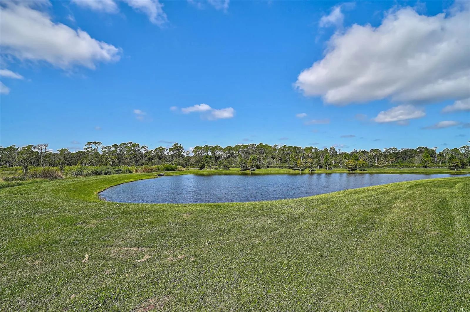 8417 DOVE BOG TER