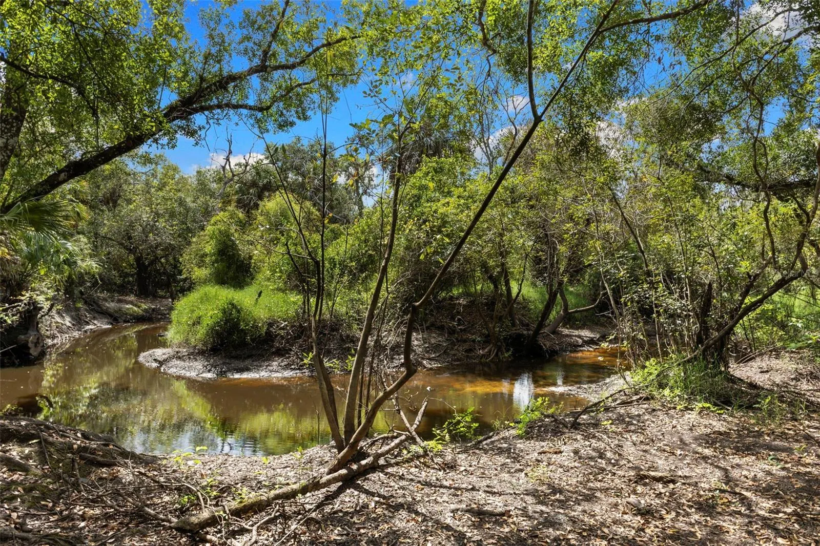 15571 COUNTY ROAD 675