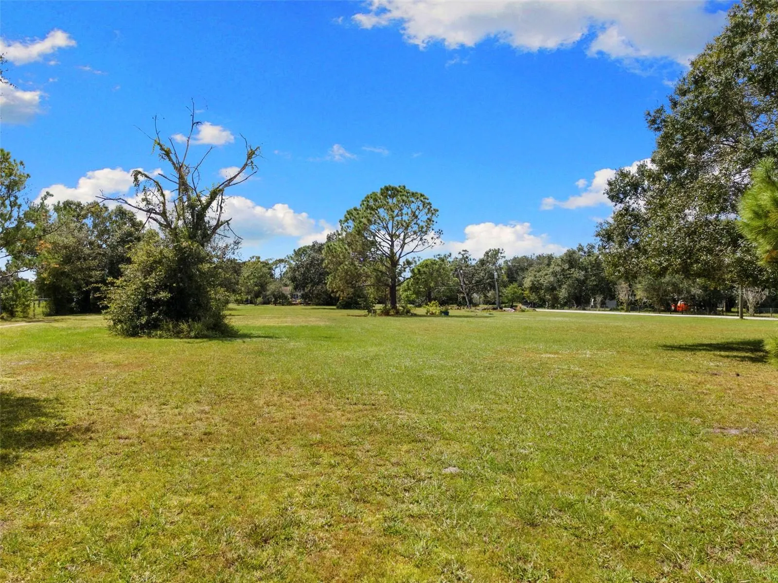 15571 COUNTY ROAD 675