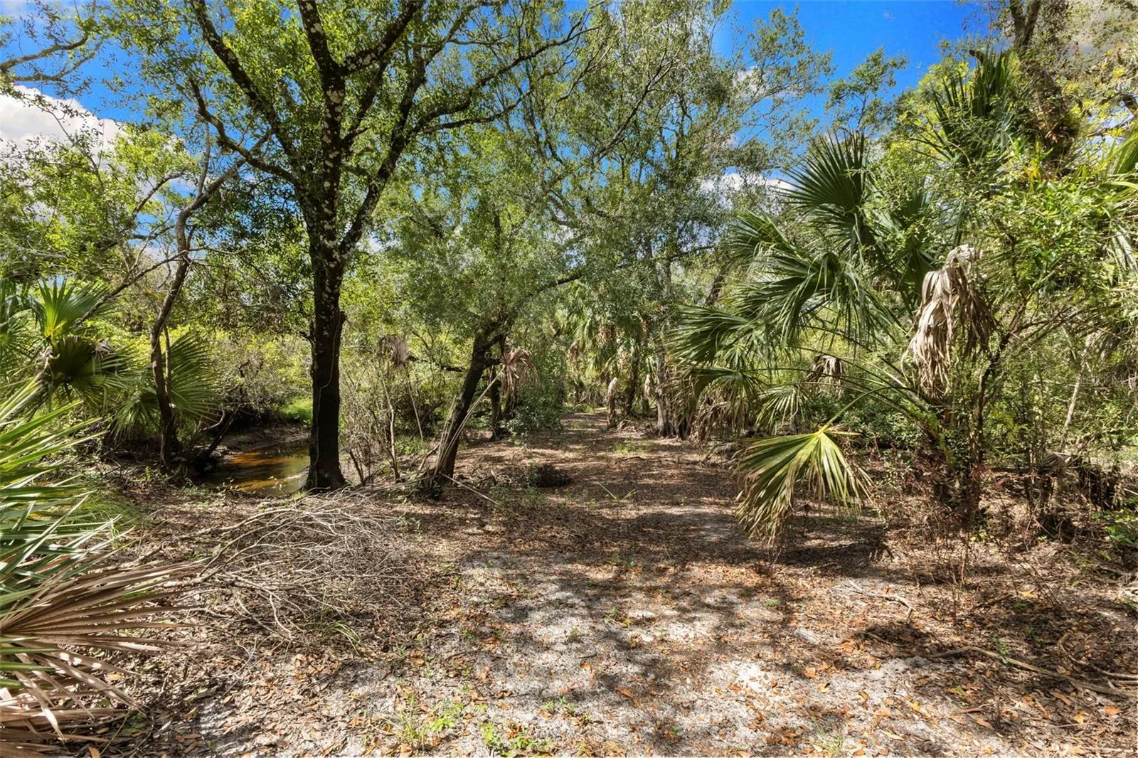 15571 COUNTY ROAD 675