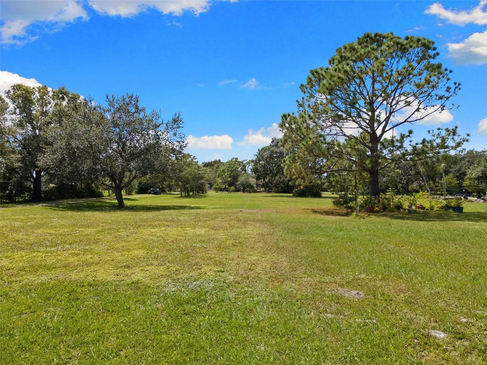 15571 COUNTY ROAD 675