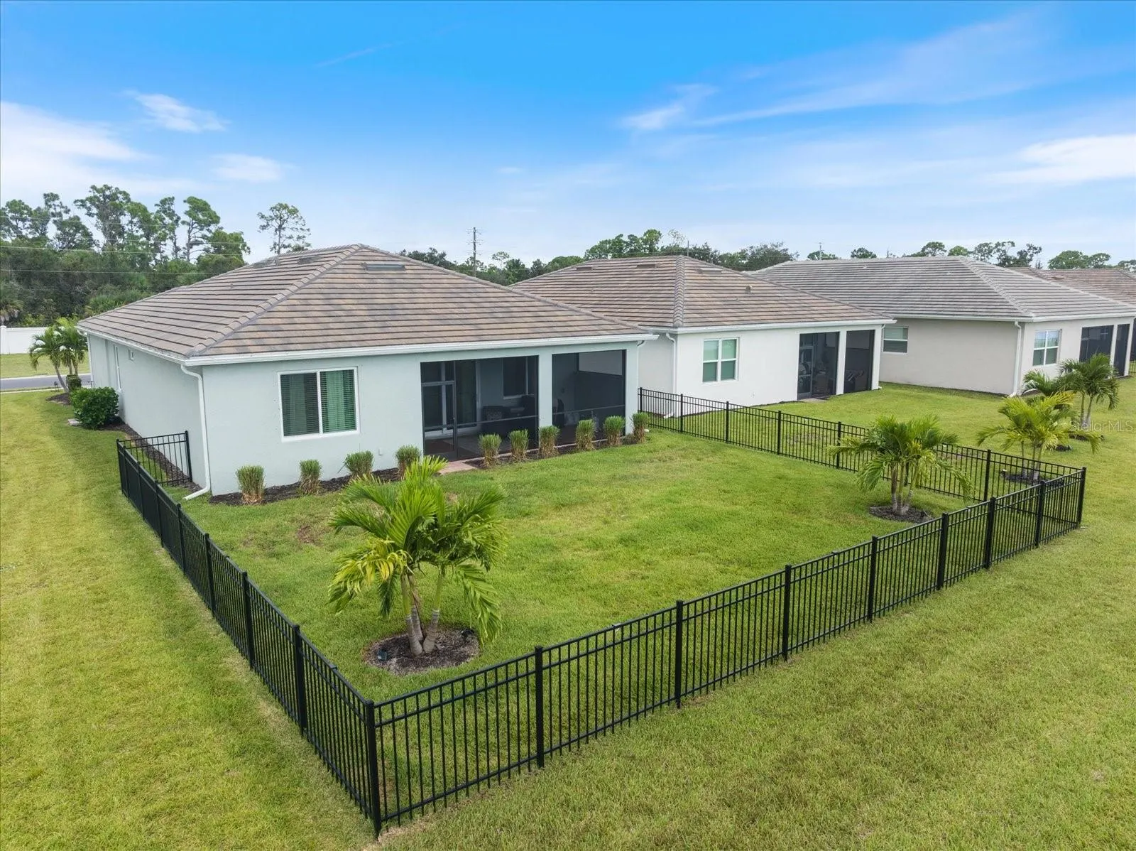 561 IBIZA LOOP