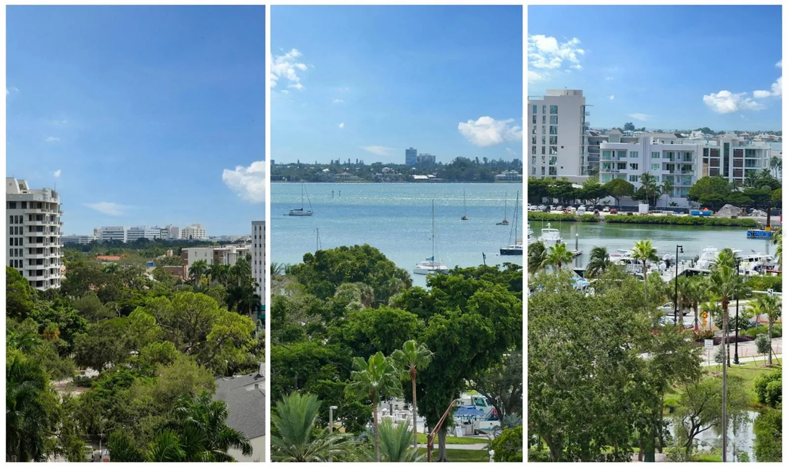 33 S PALM AVE #701, #701