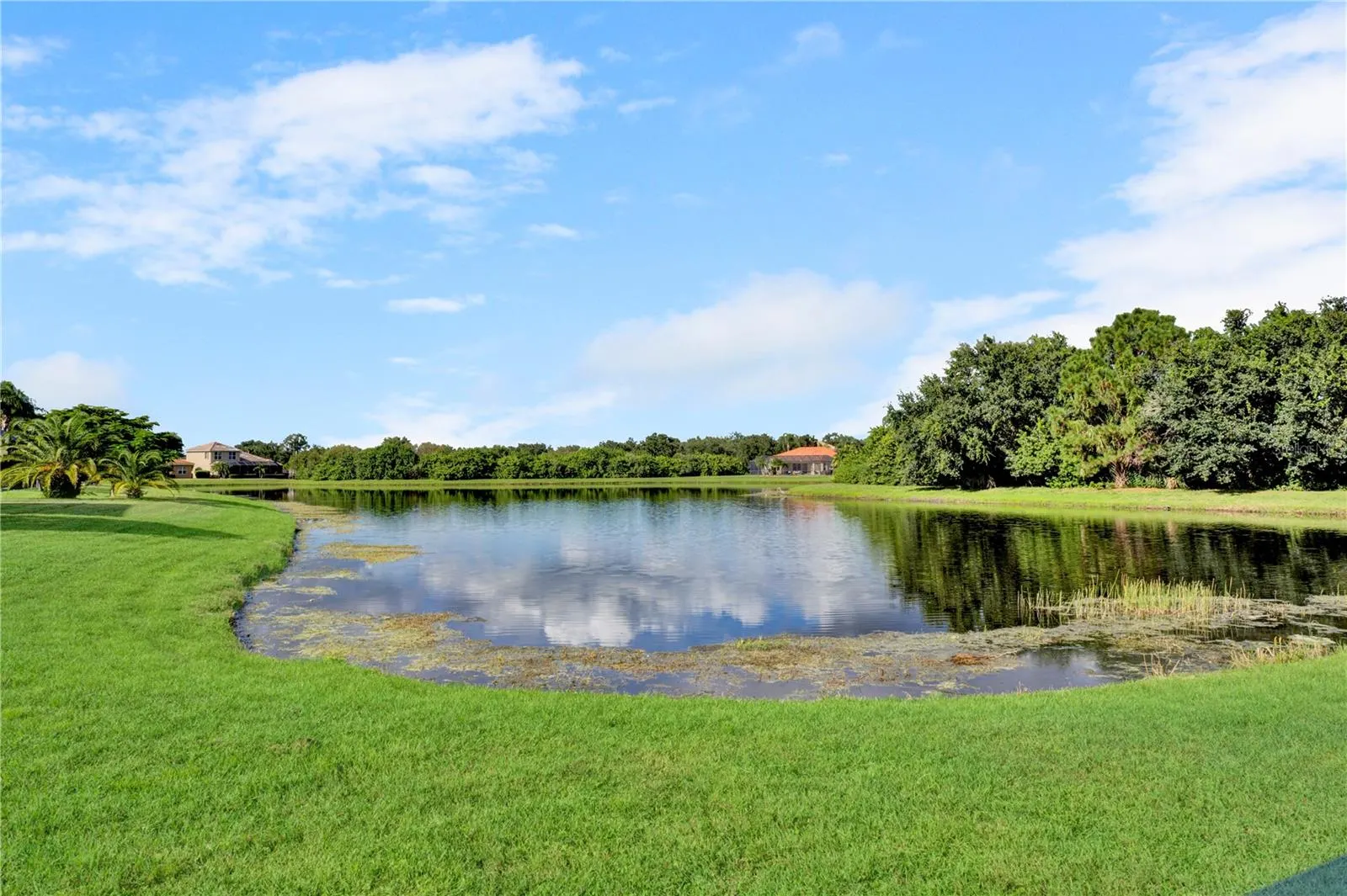 12576 NATUREVIEW CIR