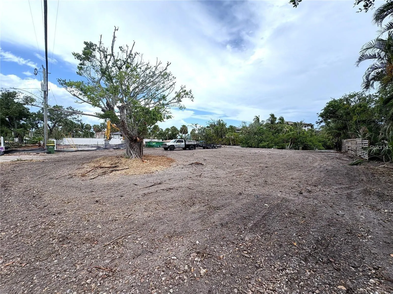 546 FREELING DR