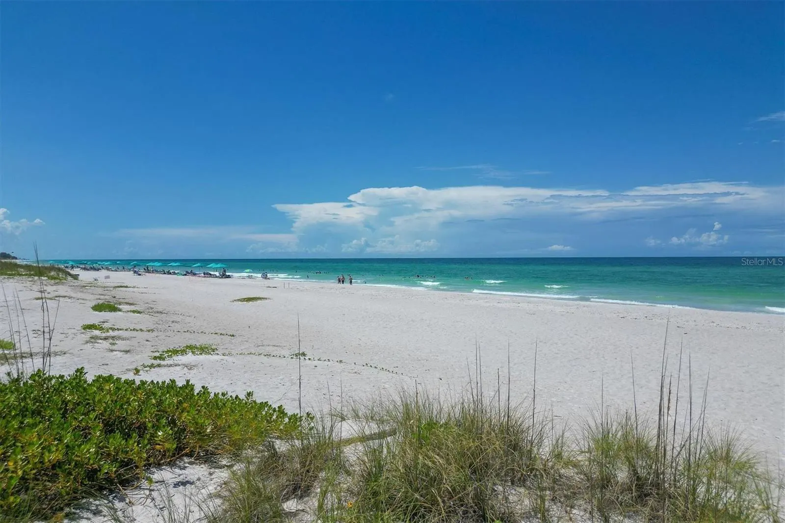 3060 GRAND BAY BLVD #175, #175