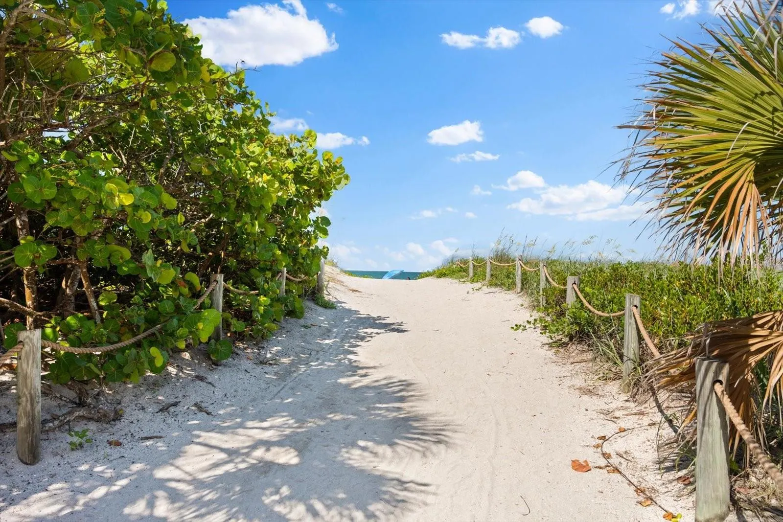 4106 CENTRAL SARASOTA PKWY #1015, #1015