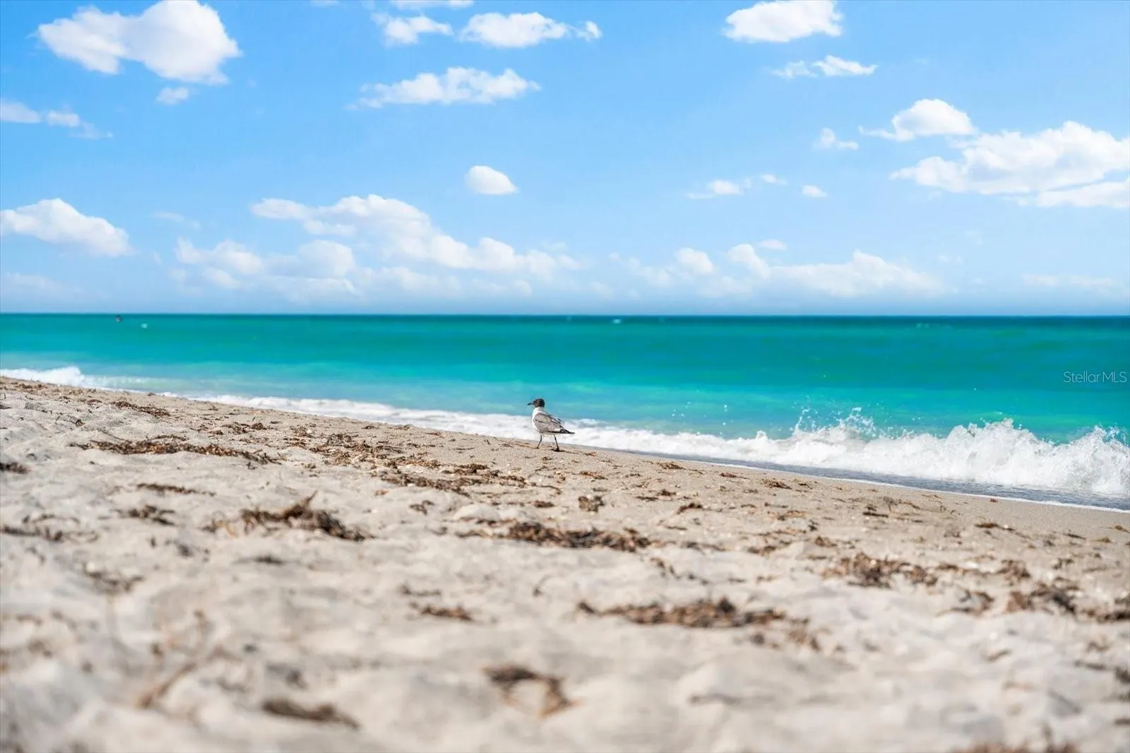 4106 CENTRAL SARASOTA PKWY #1015, #1015