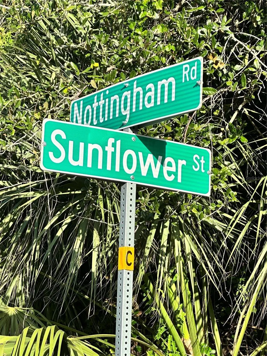 13 SUNFLOWER ST