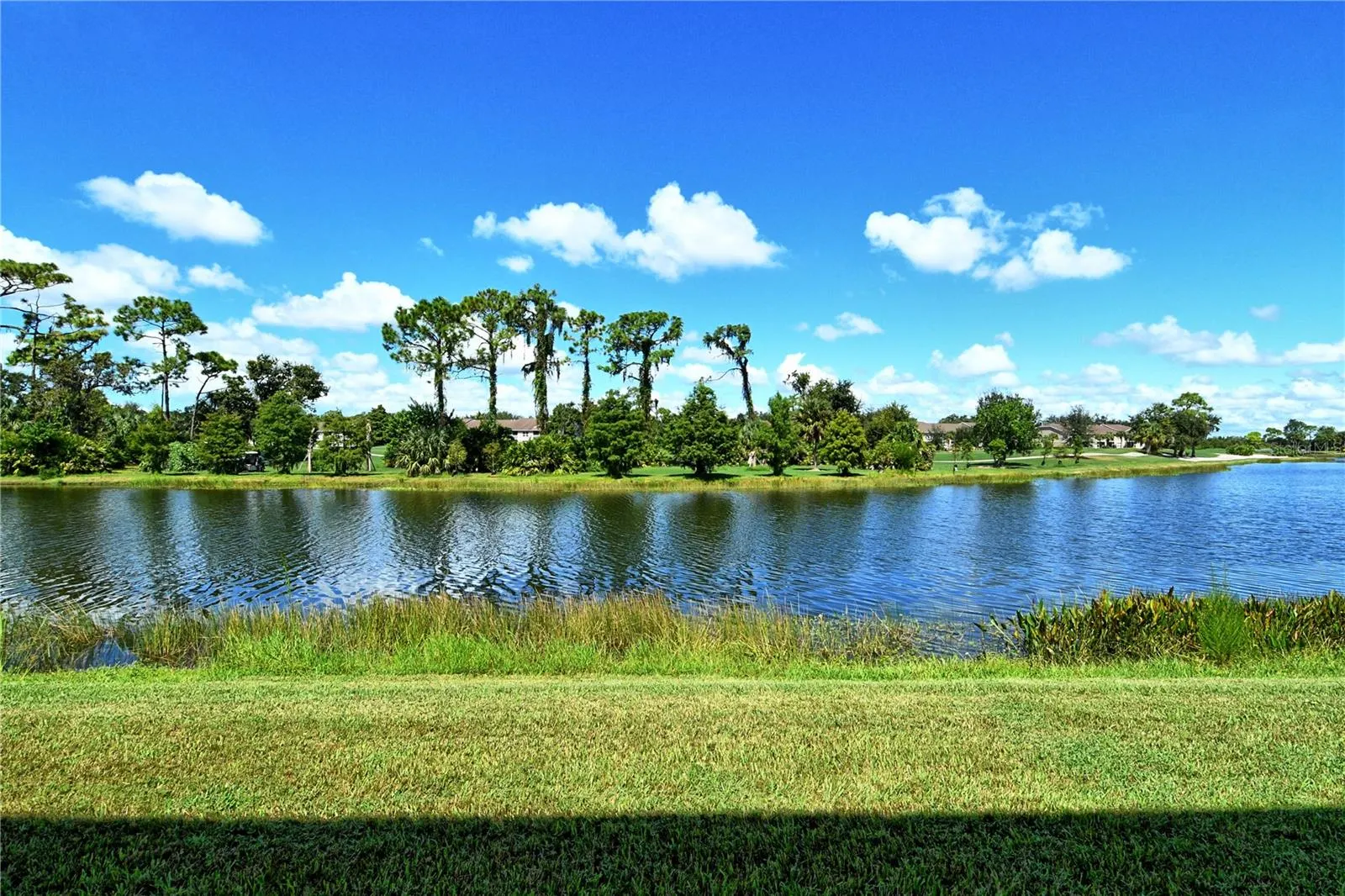 5260 HYLAND HILLS AVE #1616, #1616