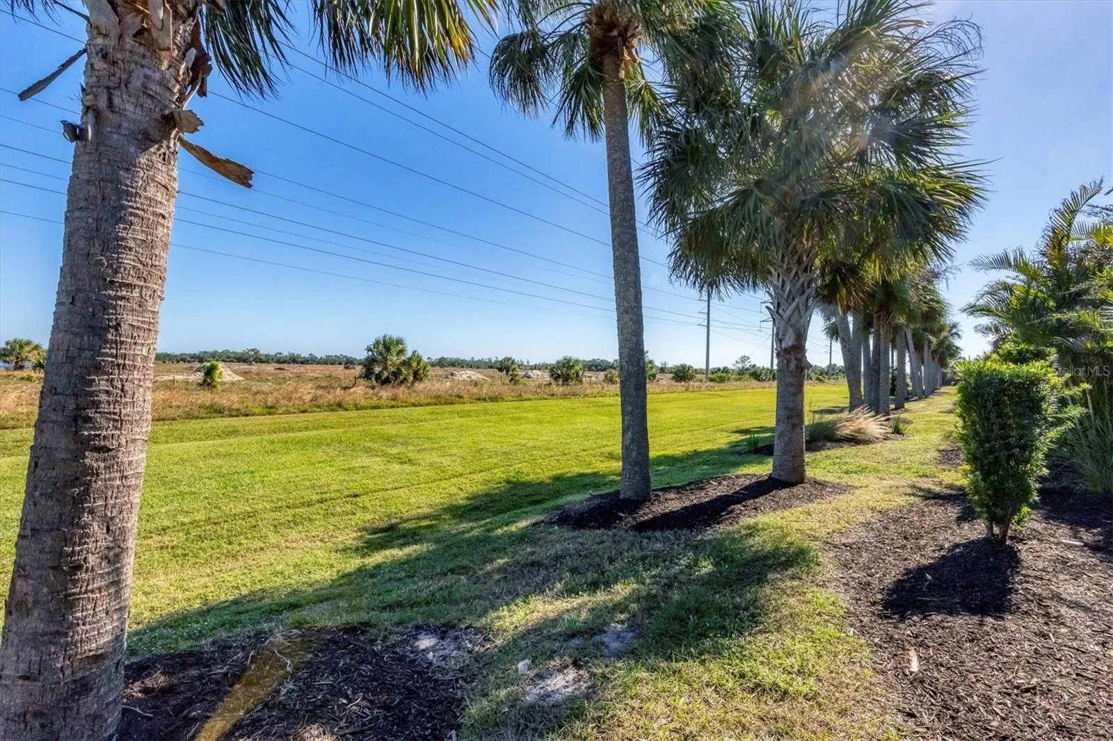 11265 MC DERMOTT CT