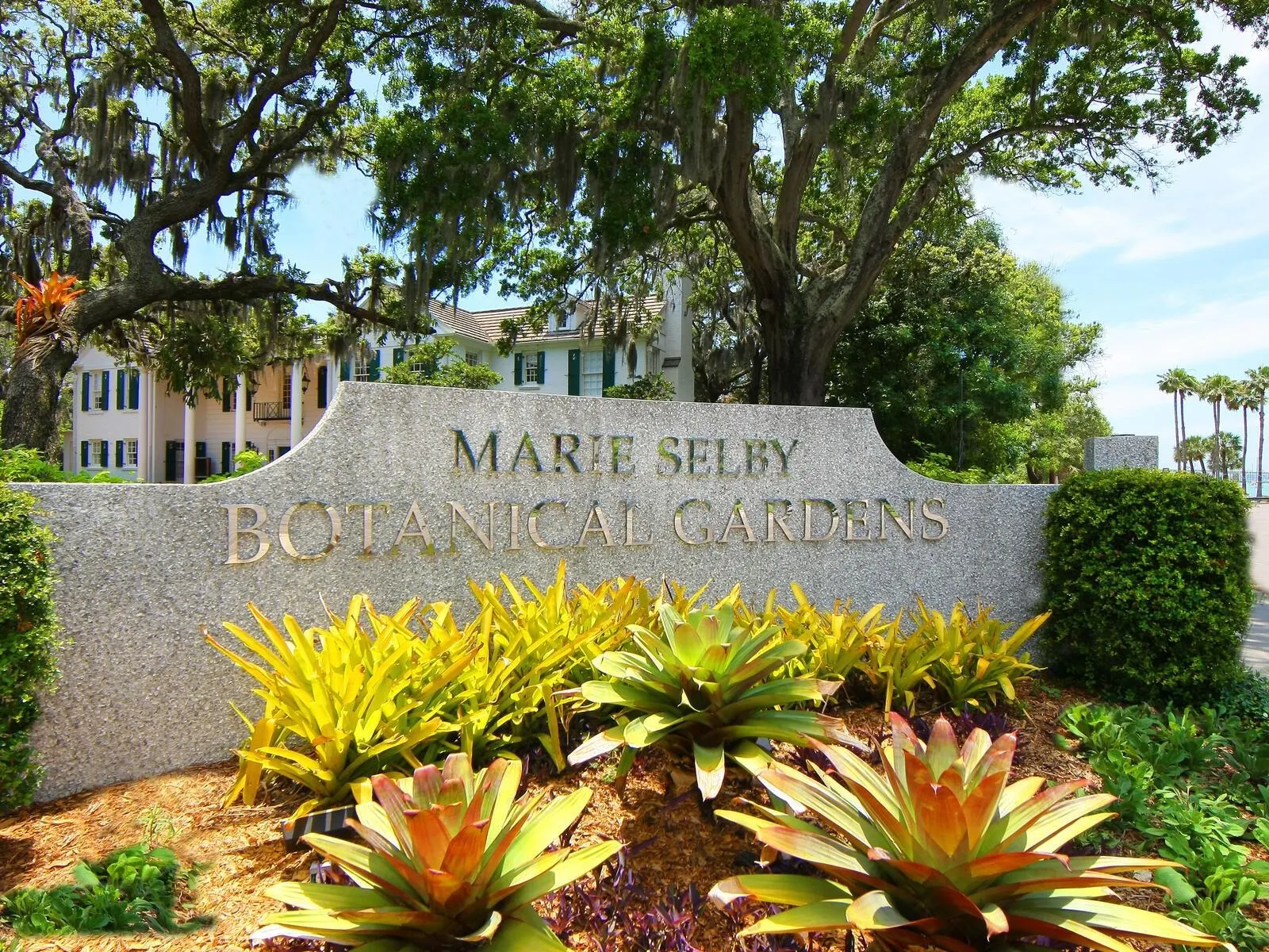 540 N TAMIAMI TRL #1201, #1201
