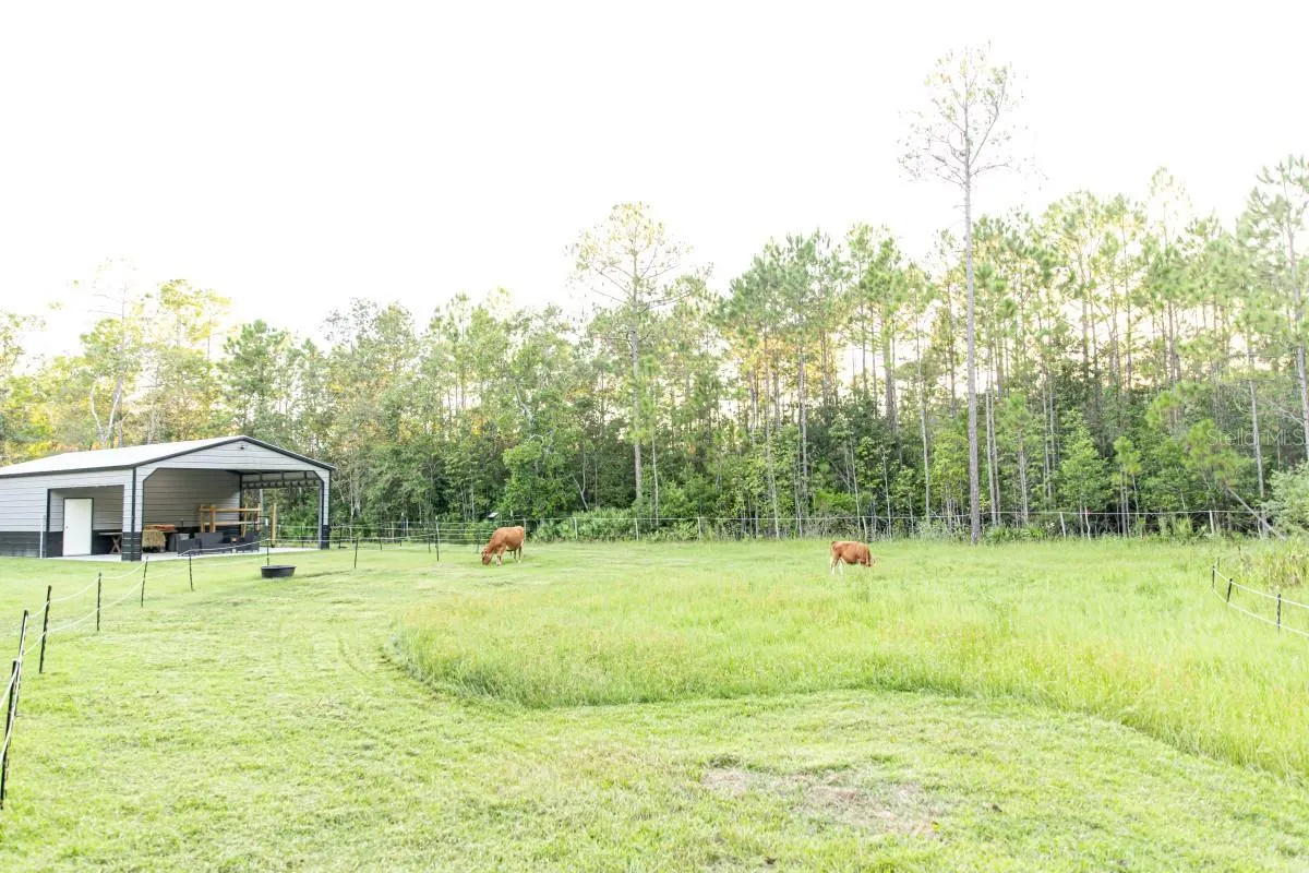 1533 COUNTY ROAD 13