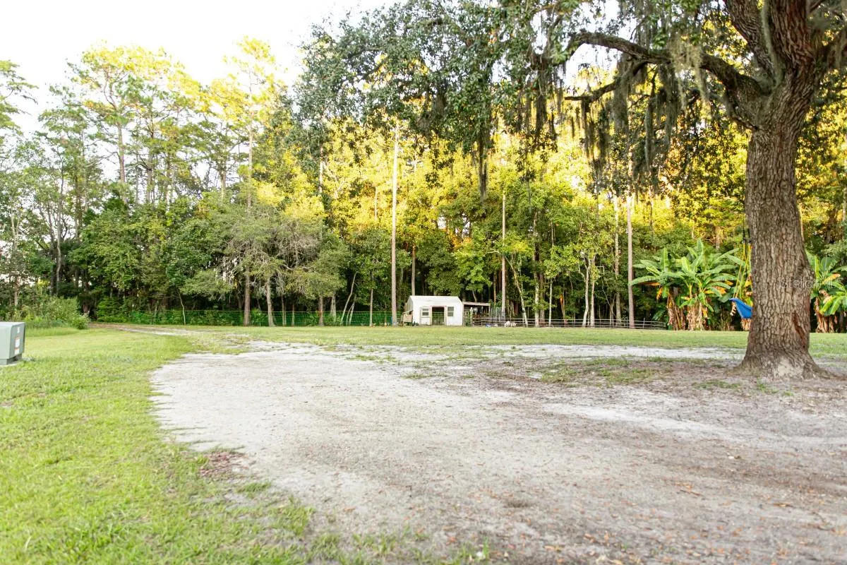 1533 COUNTY ROAD 13