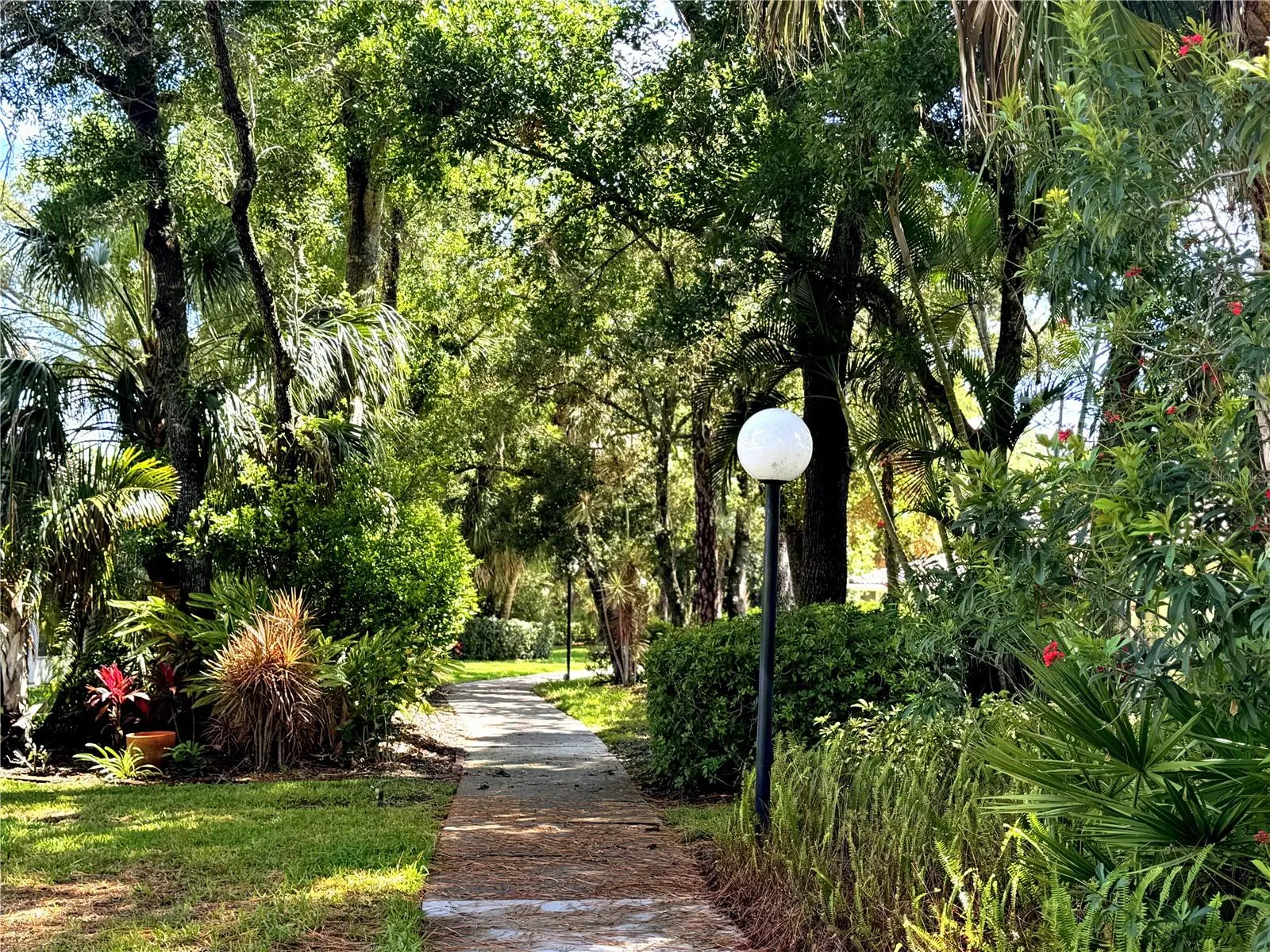 5517 GARDEN LAKES OAK