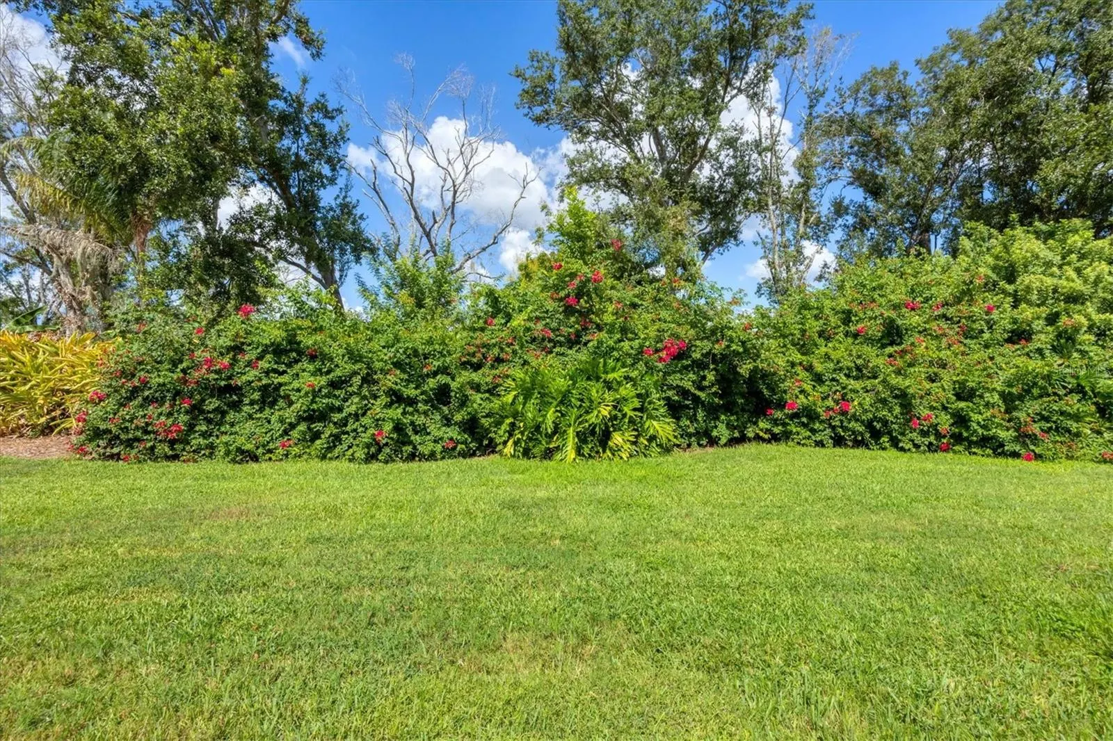 4260 MACKAY FALLS TER