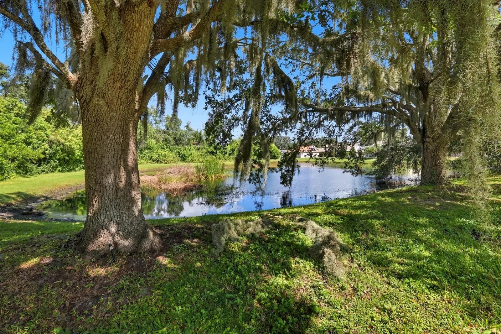 11503 SWEETGRASS DR